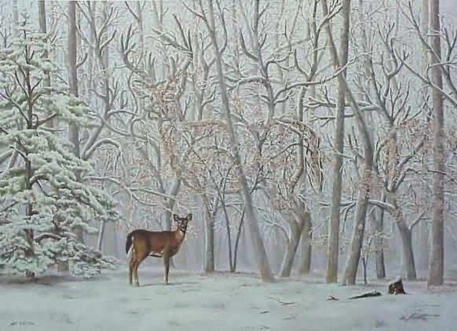 Spot the Hidden Deer