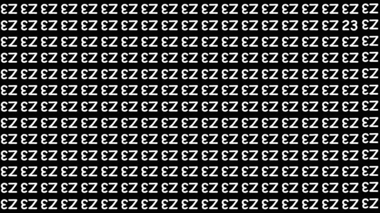 Hidden Number 23