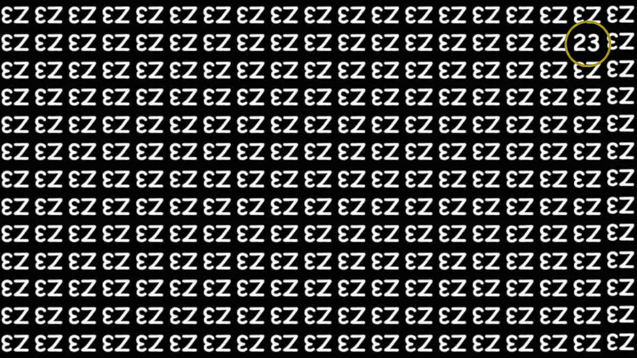 Hidden Number 23