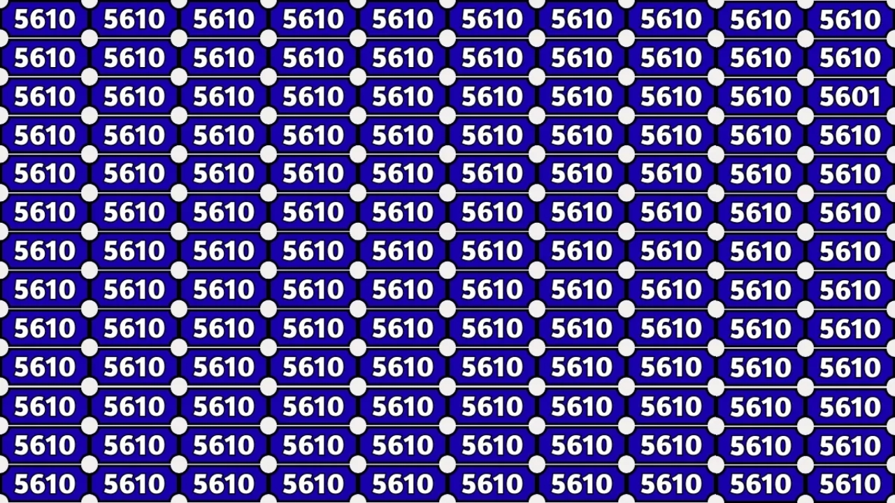 Hidden Number 5601