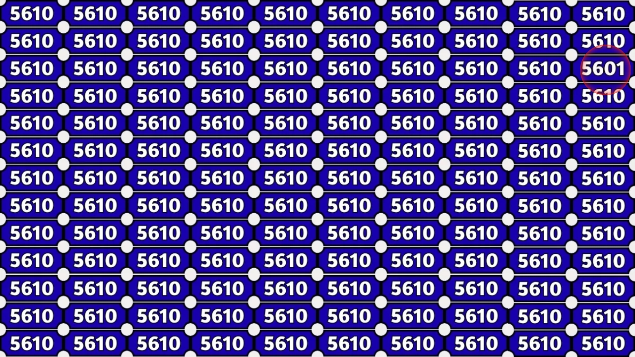 Hidden Number 5601