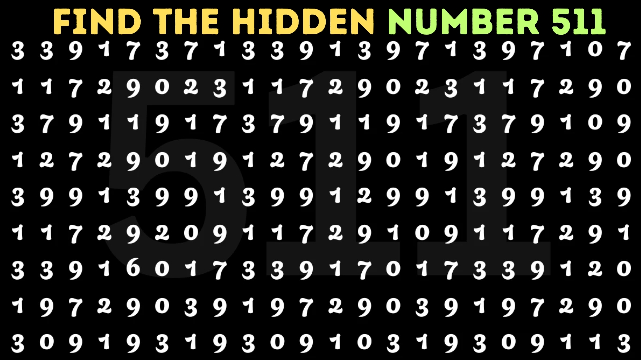 Hidden Number 511