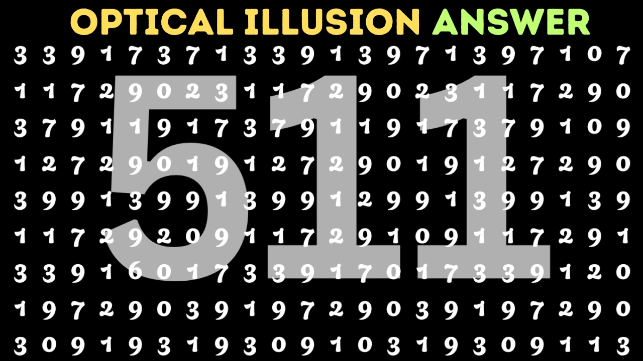 Hidden Number 511