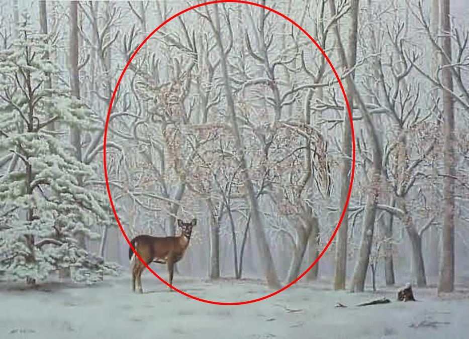 Spot the Hidden Deer 
