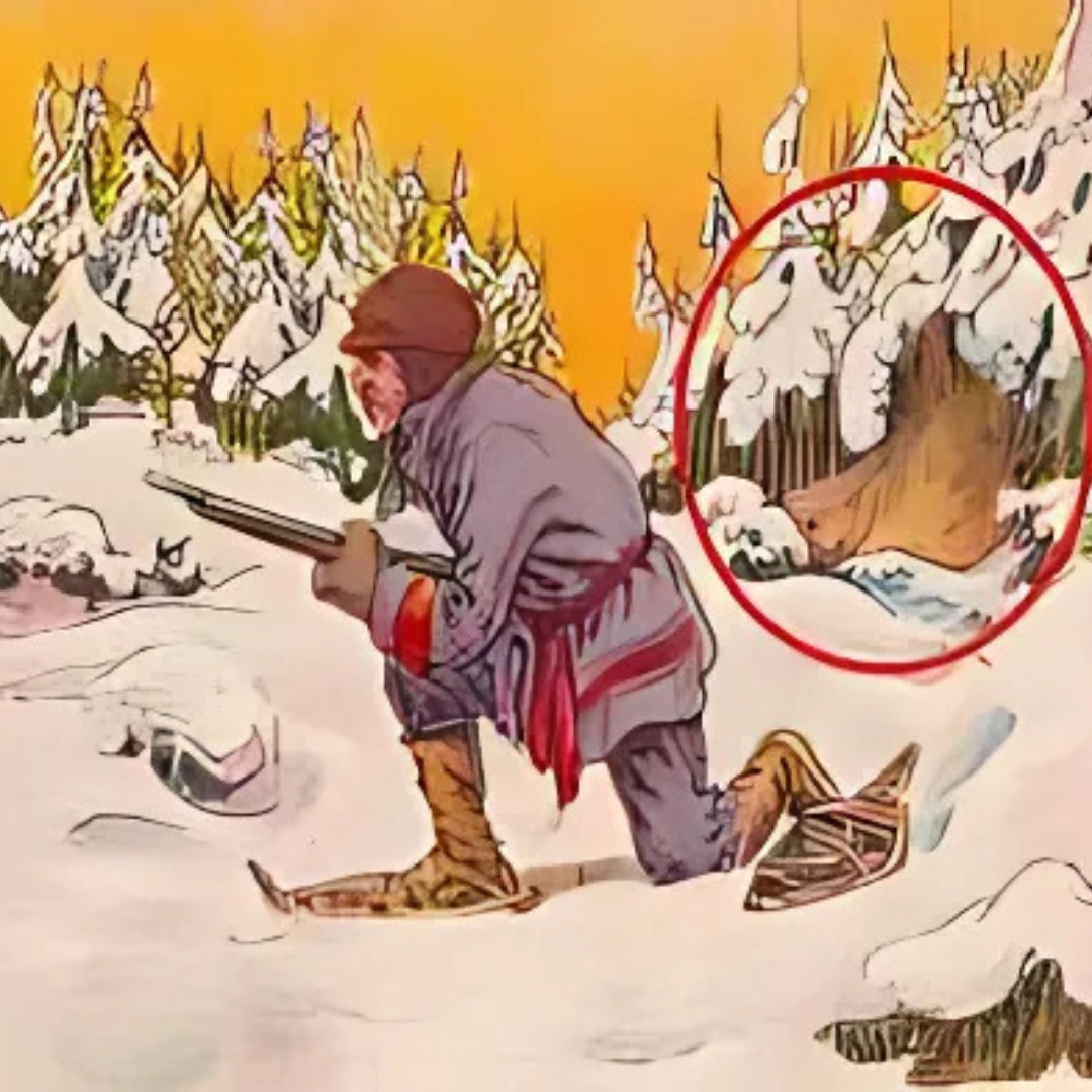 Find the Hidden Bear