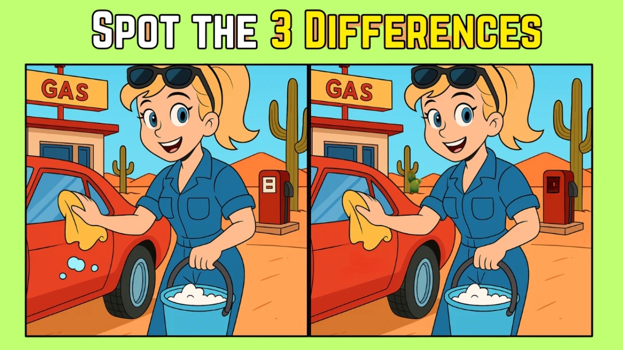 Woman Cleaning a Car