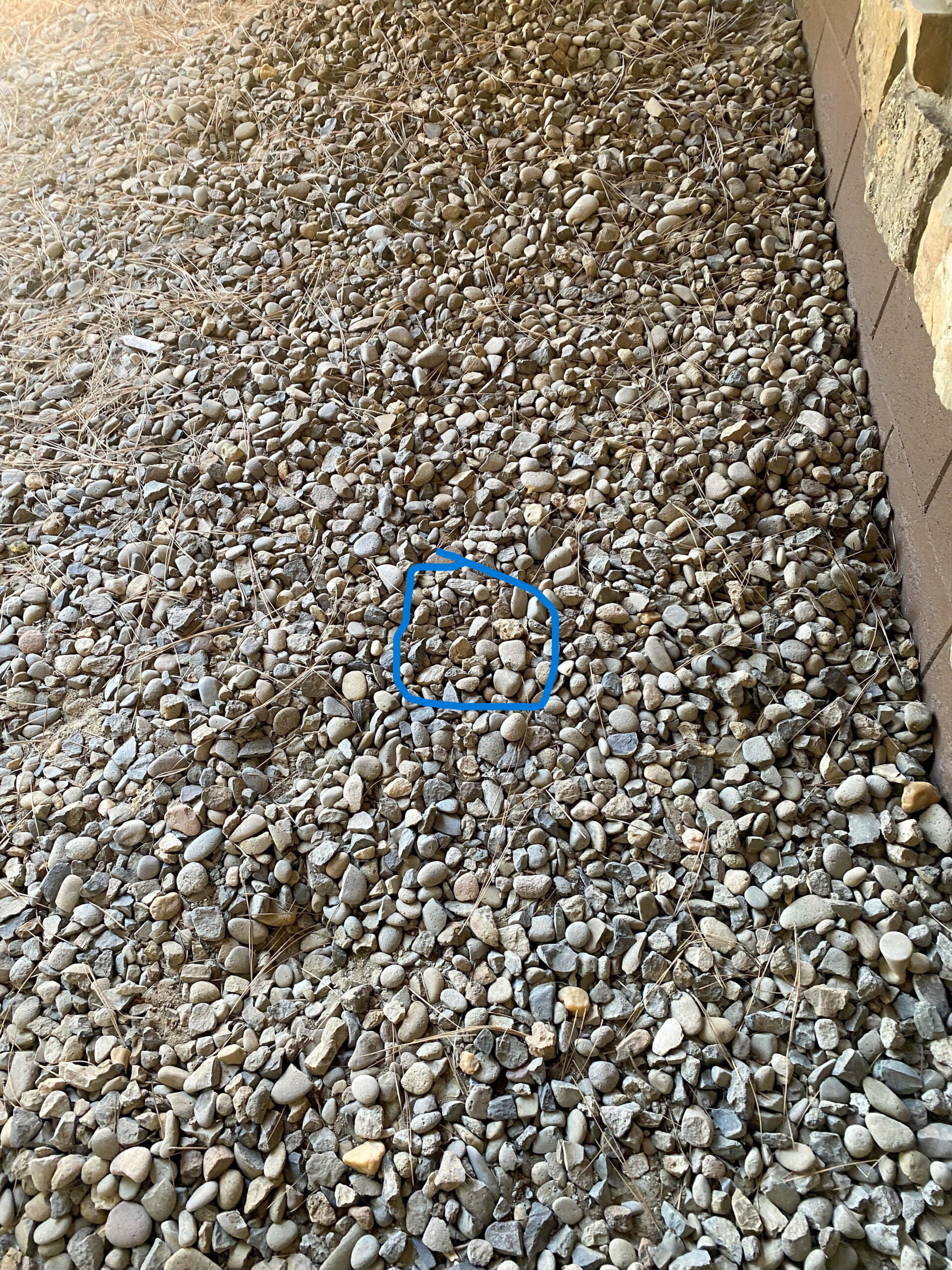 Spot the House Key 