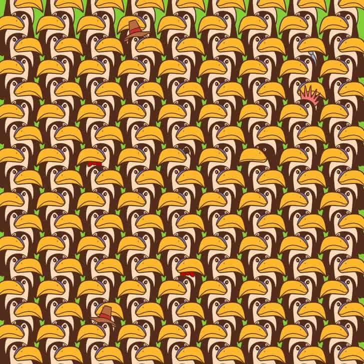 Hidden Penguin