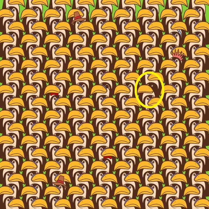 Hidden Penguin