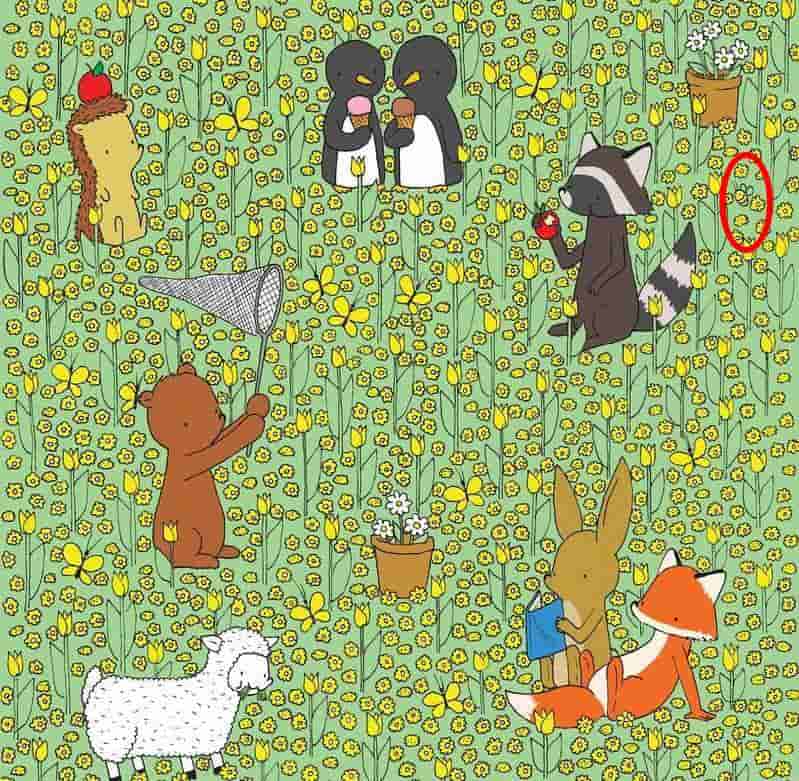 Spot the Hidden Bee