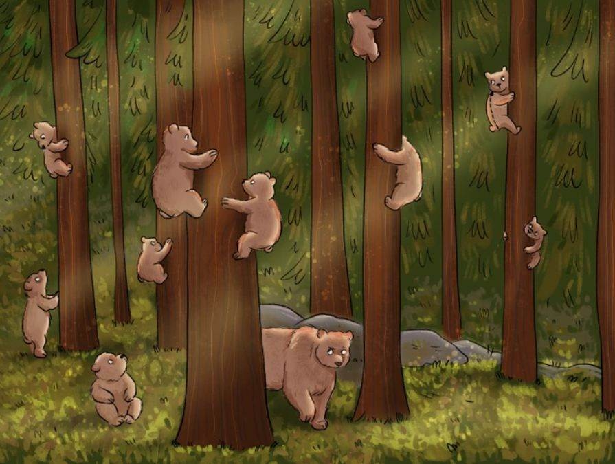Find Who Is Not A Bear